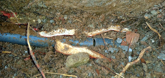 Localización de fuga de agua